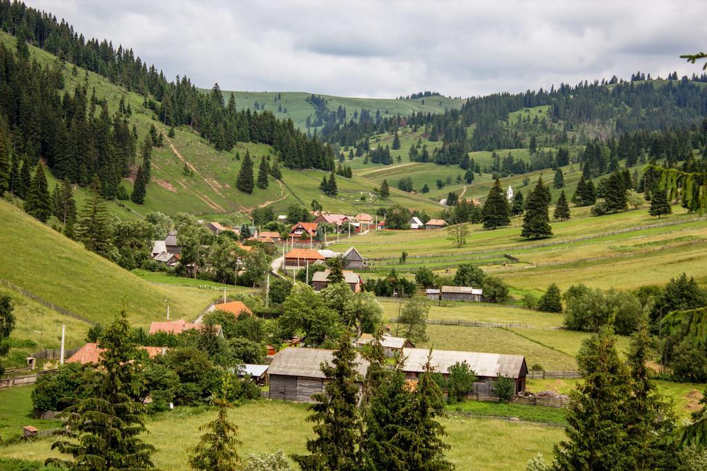 Picnic Panzio Bed and Breakfast Lunca de Sus Εξωτερικό φωτογραφία