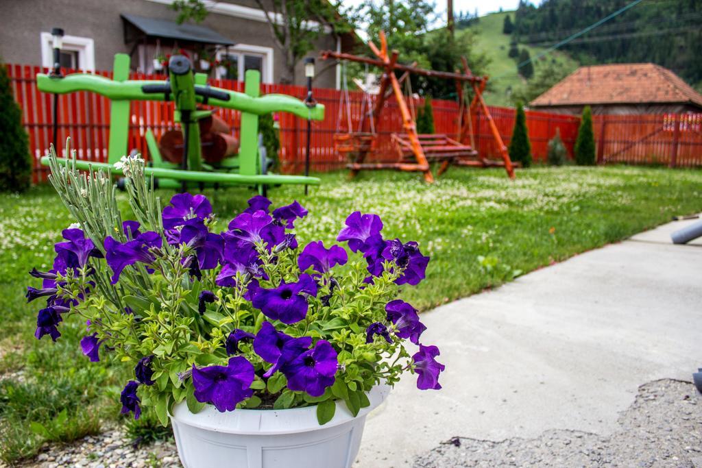 Picnic Panzio Bed and Breakfast Lunca de Sus Εξωτερικό φωτογραφία