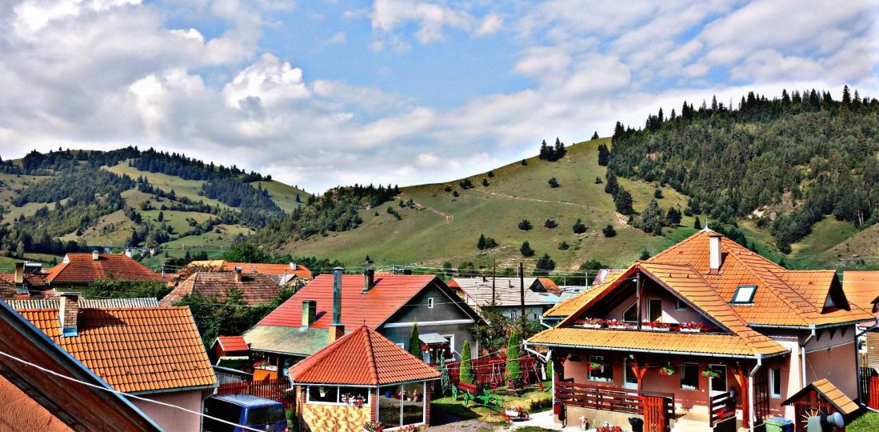 Picnic Panzio Bed and Breakfast Lunca de Sus Εξωτερικό φωτογραφία