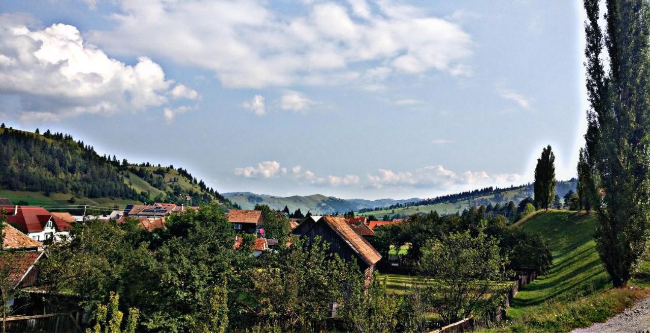 Picnic Panzio Bed and Breakfast Lunca de Sus Εξωτερικό φωτογραφία