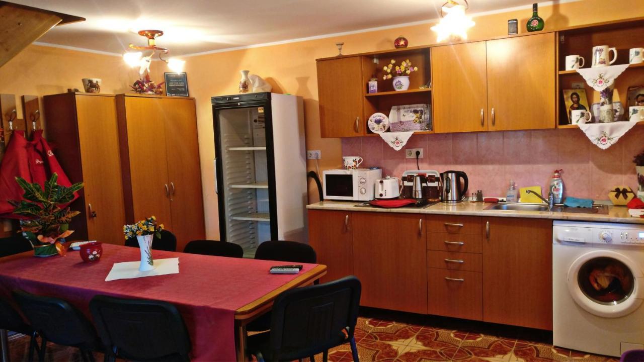 Picnic Panzio Bed and Breakfast Lunca de Sus Εξωτερικό φωτογραφία